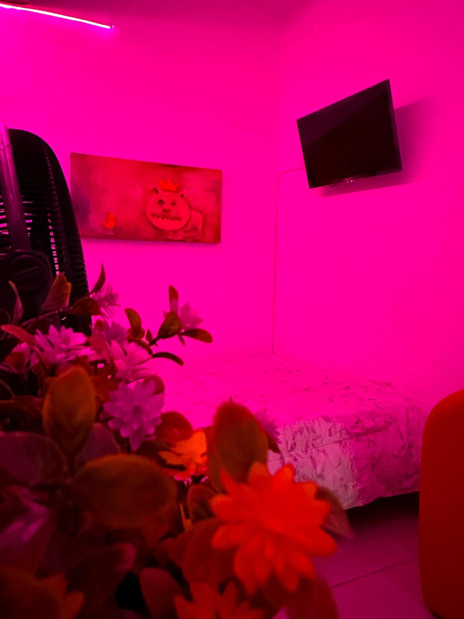 Habitacionez Hvuz Oaxaca Zewnętrze zdjęcie